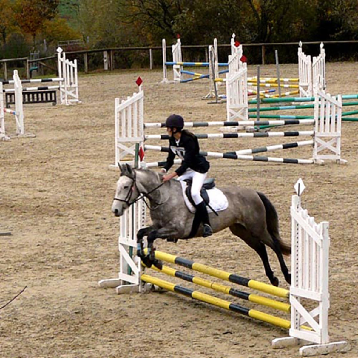 Equitation