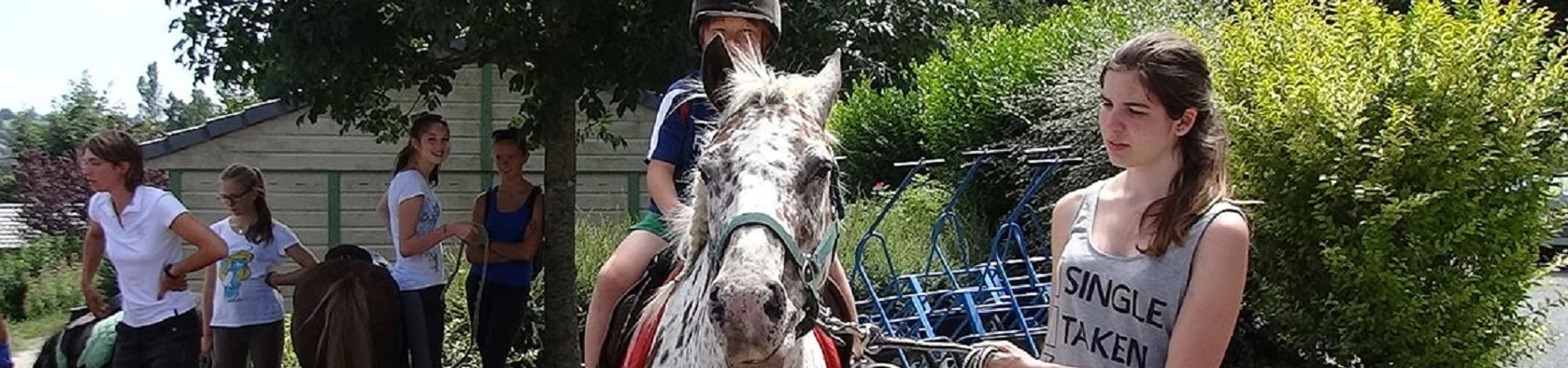 animation poney Animation Poney